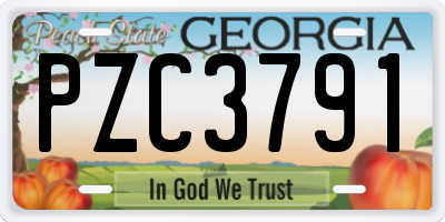 GA license plate PZC3791