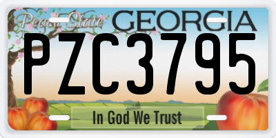 GA license plate PZC3795