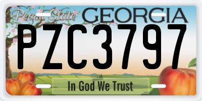 GA license plate PZC3797