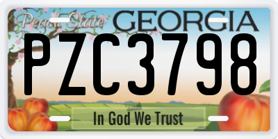 GA license plate PZC3798