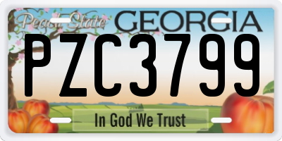 GA license plate PZC3799
