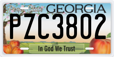 GA license plate PZC3802