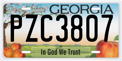 GA license plate PZC3807