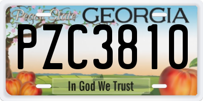 GA license plate PZC3810