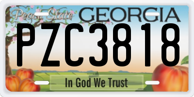 GA license plate PZC3818