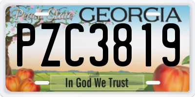 GA license plate PZC3819