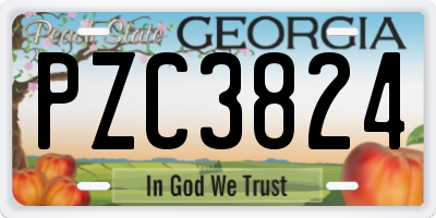 GA license plate PZC3824