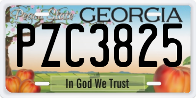 GA license plate PZC3825