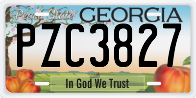 GA license plate PZC3827