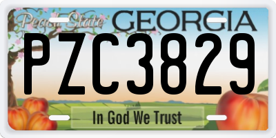 GA license plate PZC3829