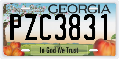 GA license plate PZC3831