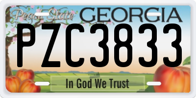 GA license plate PZC3833