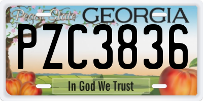 GA license plate PZC3836
