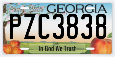 GA license plate PZC3838