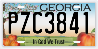 GA license plate PZC3841