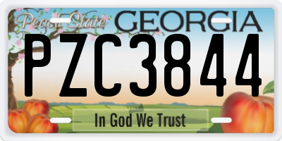 GA license plate PZC3844