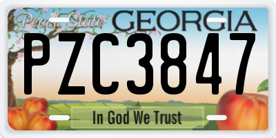 GA license plate PZC3847