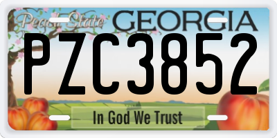 GA license plate PZC3852