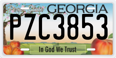 GA license plate PZC3853