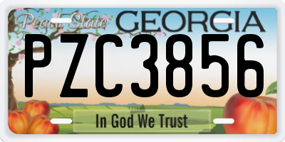 GA license plate PZC3856