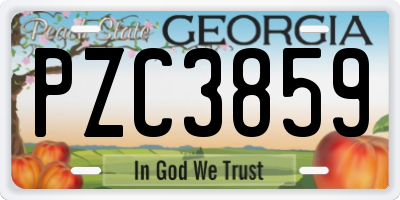 GA license plate PZC3859