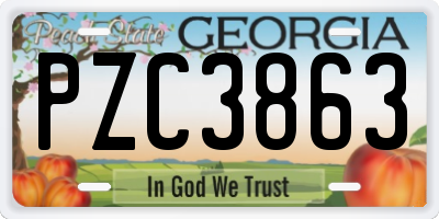 GA license plate PZC3863