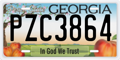GA license plate PZC3864