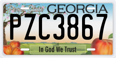 GA license plate PZC3867