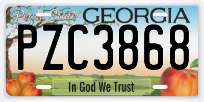 GA license plate PZC3868