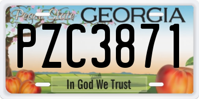 GA license plate PZC3871