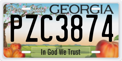 GA license plate PZC3874