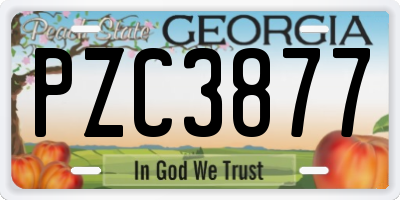GA license plate PZC3877