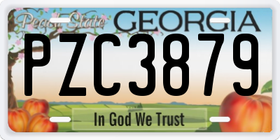 GA license plate PZC3879