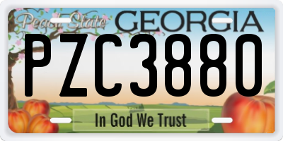 GA license plate PZC3880