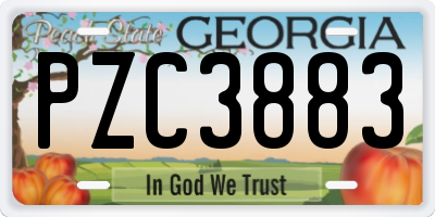 GA license plate PZC3883