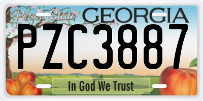 GA license plate PZC3887