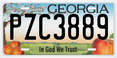 GA license plate PZC3889
