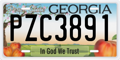 GA license plate PZC3891