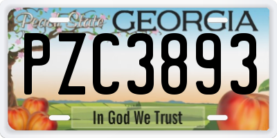 GA license plate PZC3893