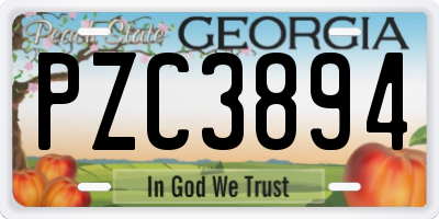 GA license plate PZC3894