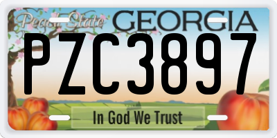 GA license plate PZC3897