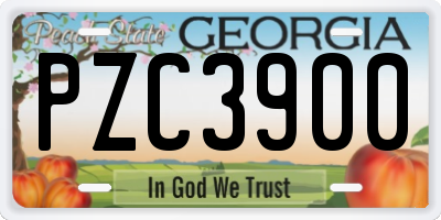 GA license plate PZC3900