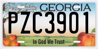 GA license plate PZC3901