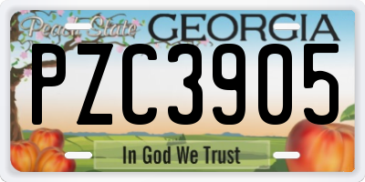 GA license plate PZC3905