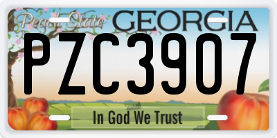 GA license plate PZC3907