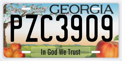 GA license plate PZC3909