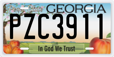 GA license plate PZC3911