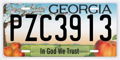 GA license plate PZC3913