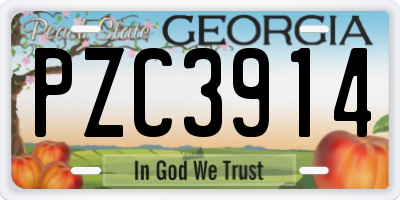 GA license plate PZC3914