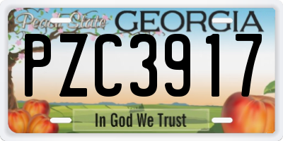 GA license plate PZC3917